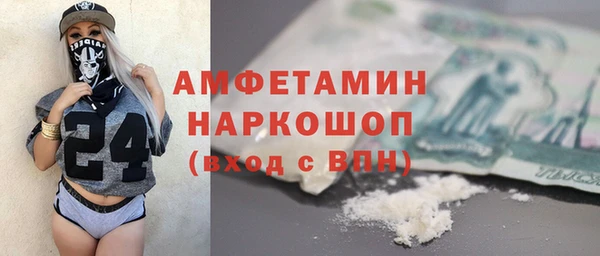 индика Алзамай