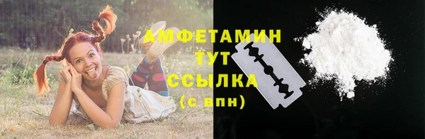 индика Алзамай