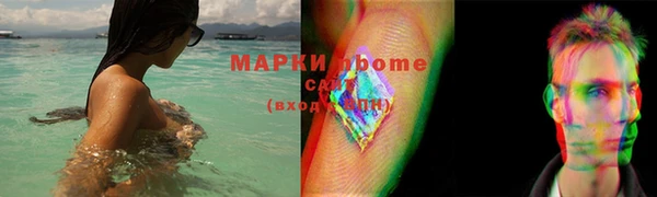 индика Алзамай