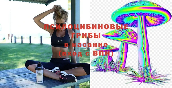 индика Алзамай