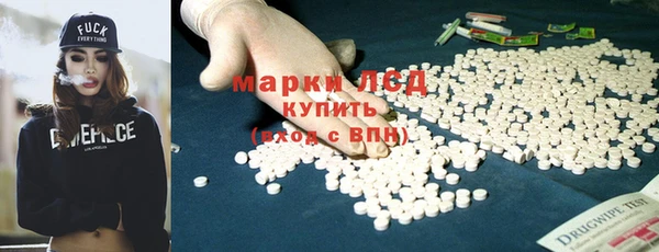 индика Алзамай