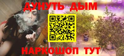 mdpv Можга