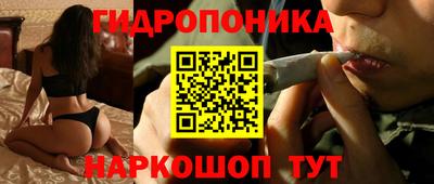mdpv Можга